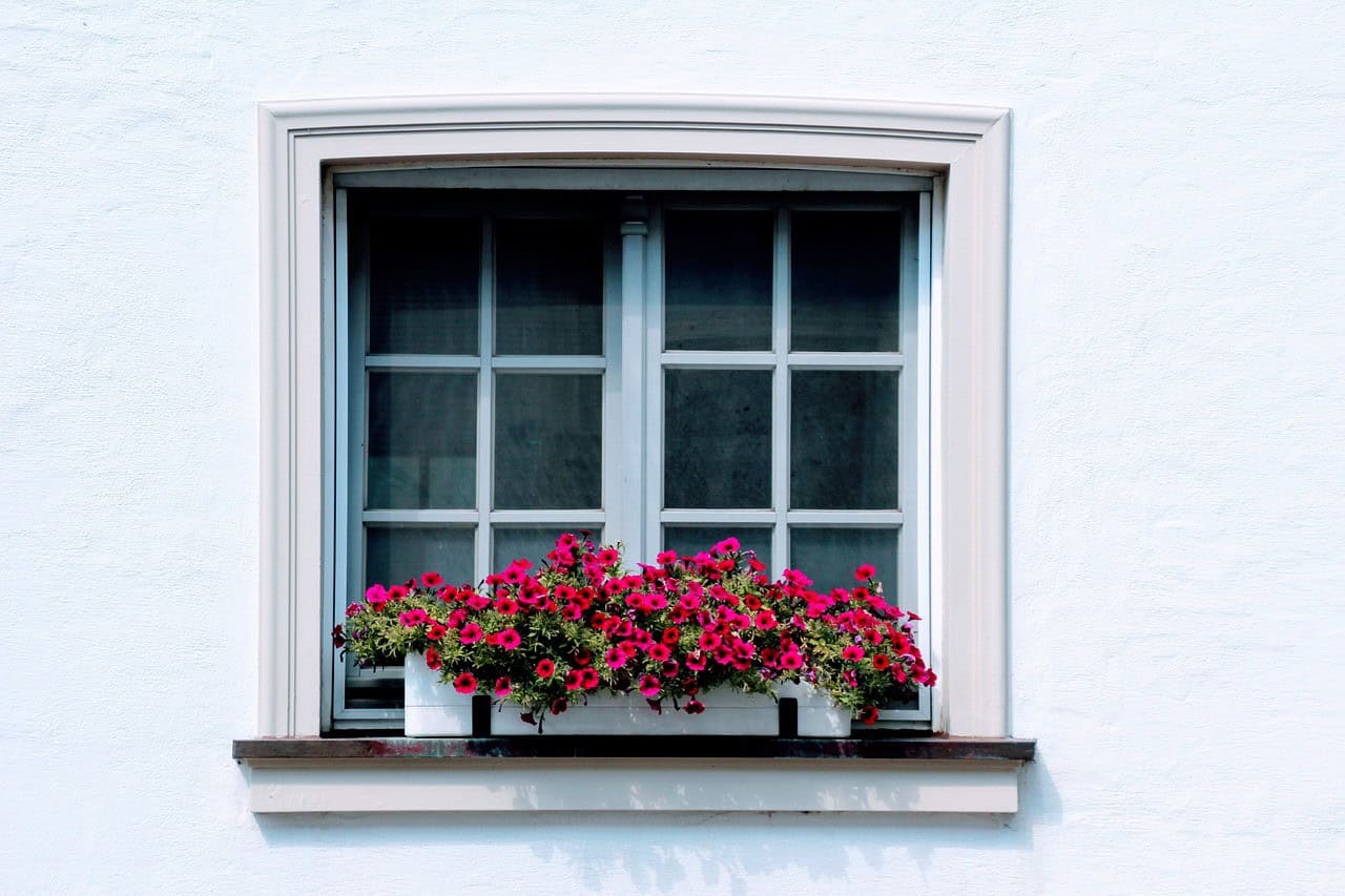 Window Boxes