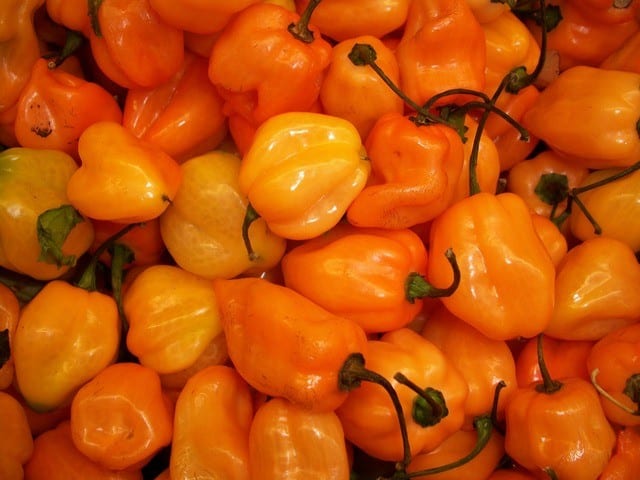 Habanero