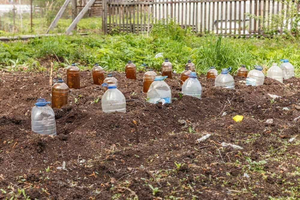 Soda Bottle Cloches