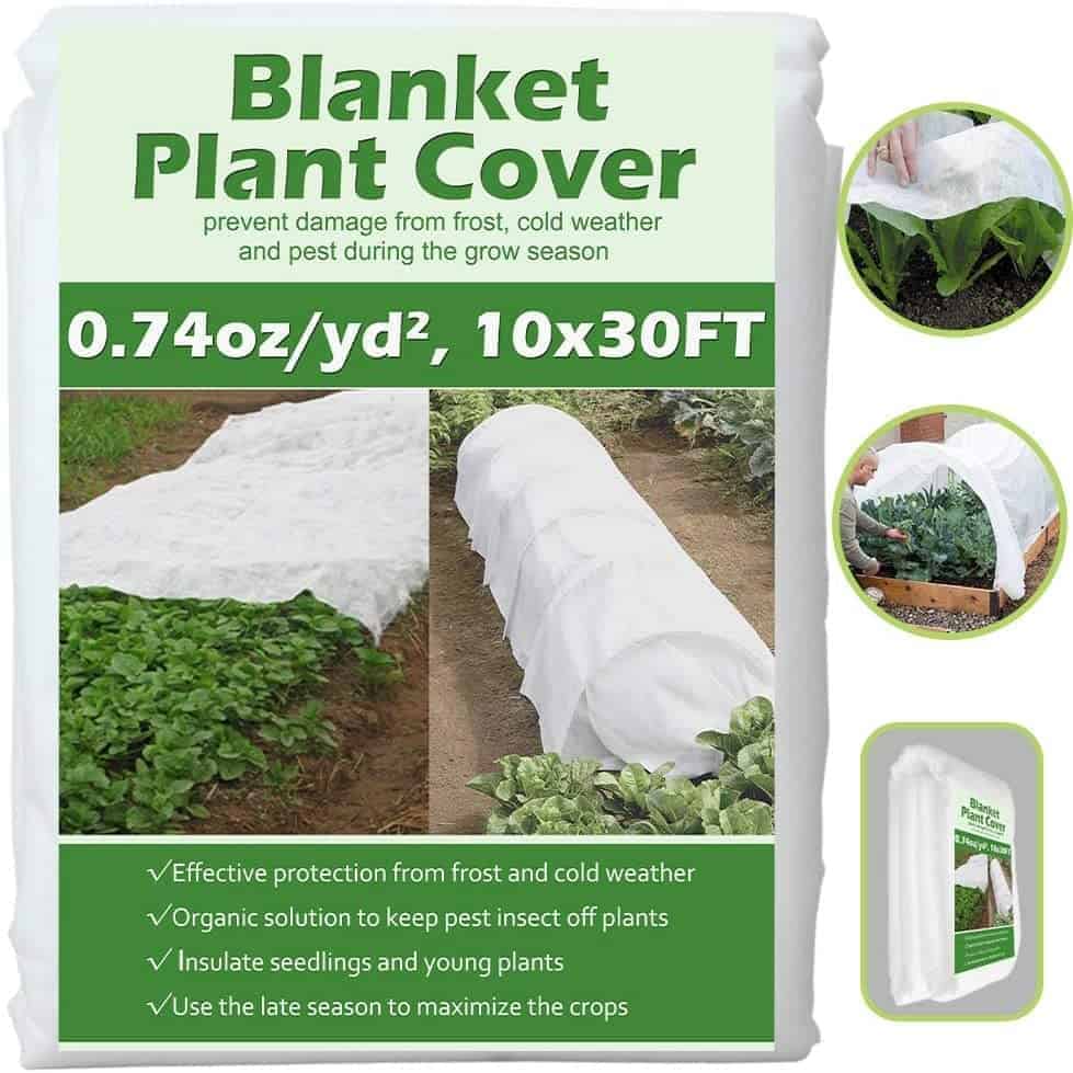 Valibe Plant Cover