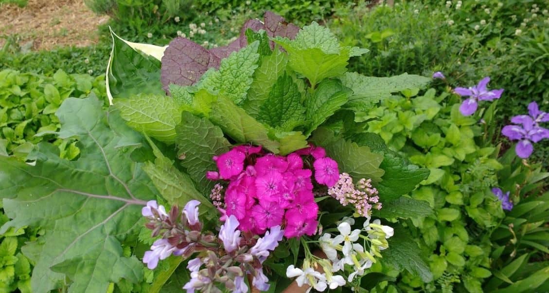 The Cut Flower Bed