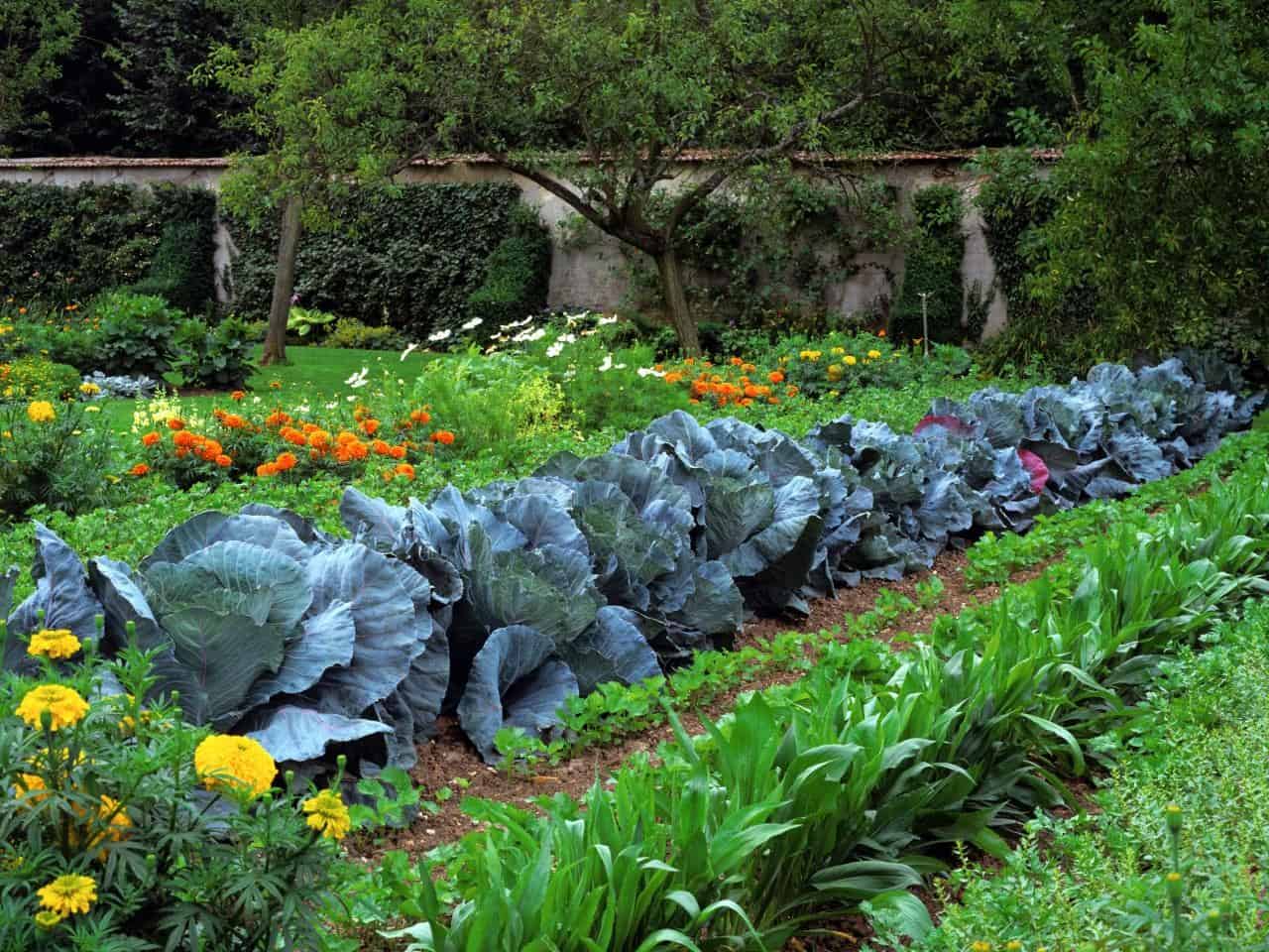 Traditional In-ground Gardening