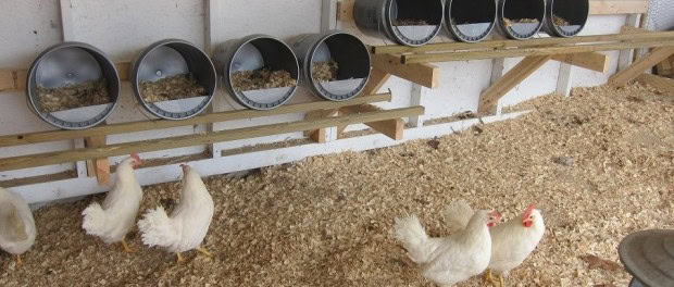 5-Gallon Bucket Nesting Boxes