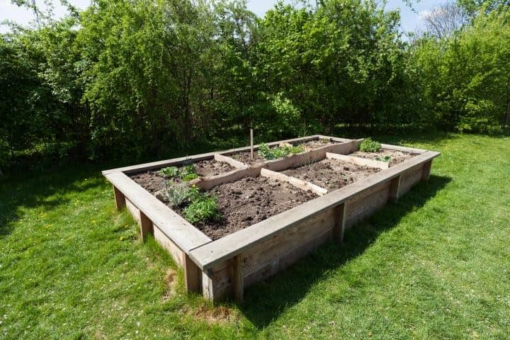 Garden in Raised Beds