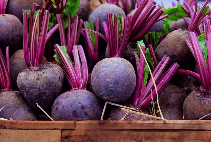 Easy Gardening: Beets