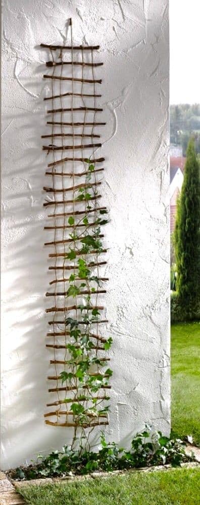 Hemp Cord and Sticks Trellis