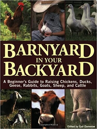 Barnyard in Your Backyard by Gail Damerow