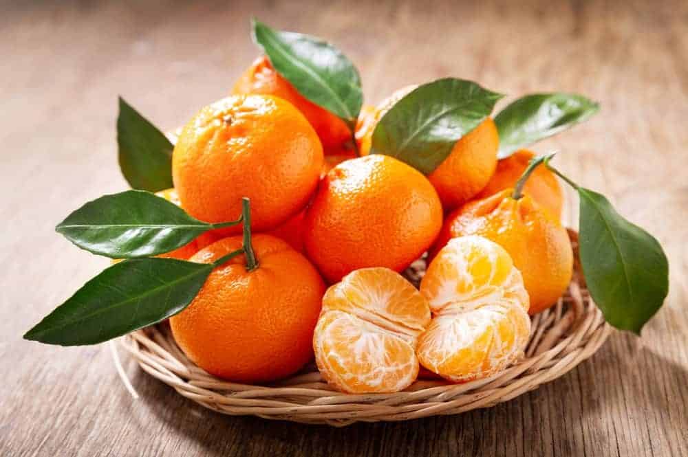 Mandarin Oranges