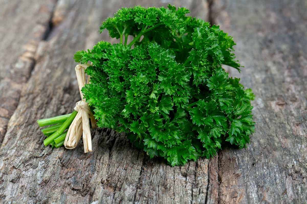 Parsley