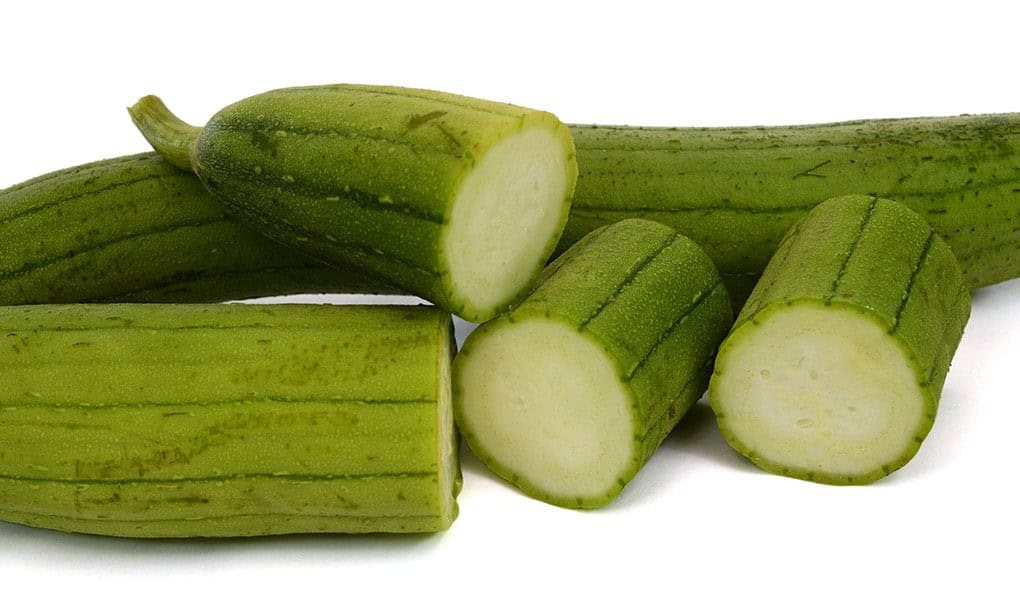 Sponge Gourd (Luffa Aegyptiaca)