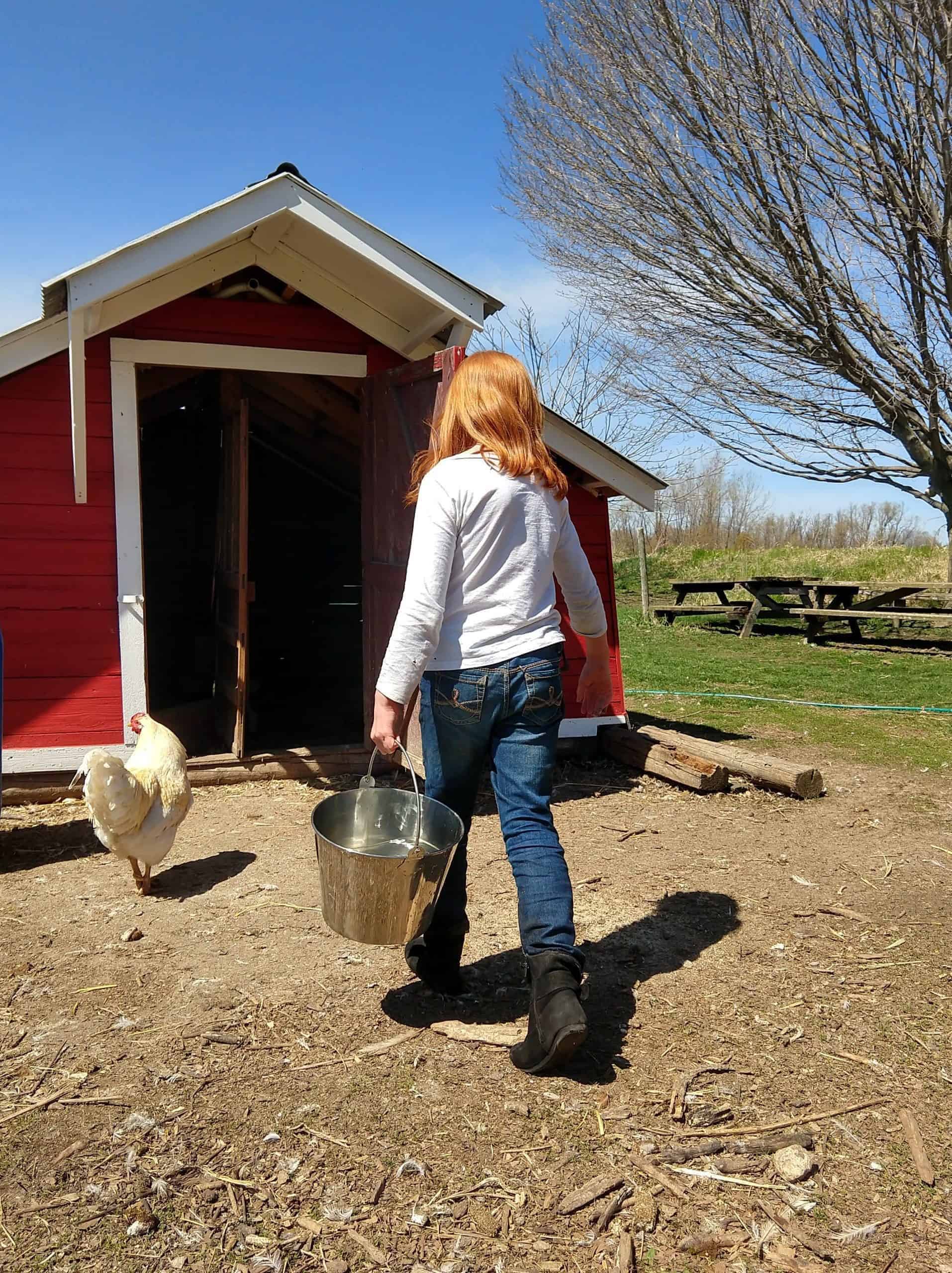 Making Your Homestead Water Plan