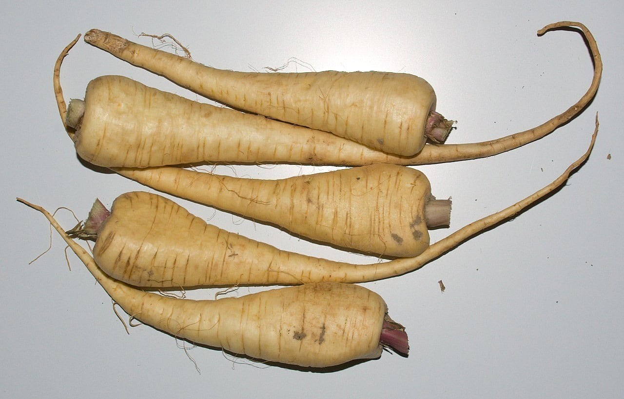 Parsnips