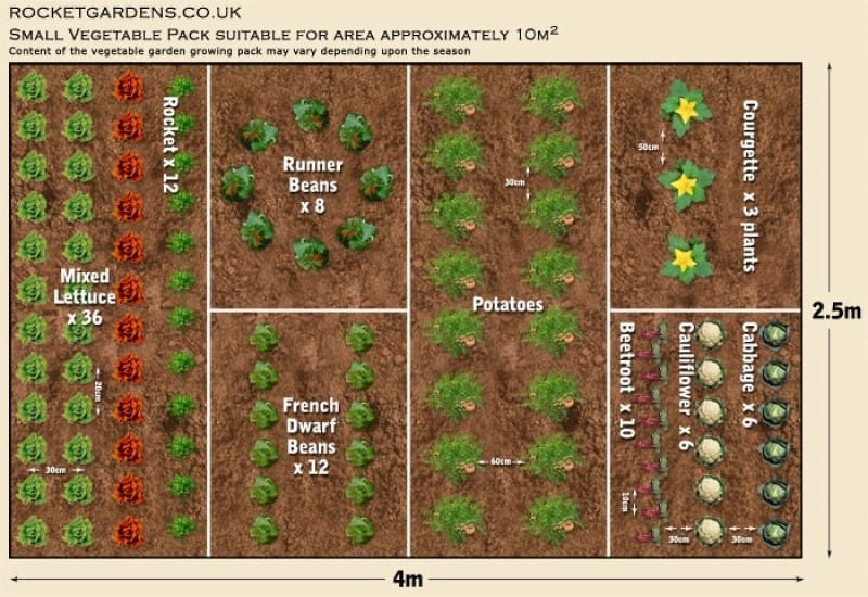 The Great Small Garden Layout