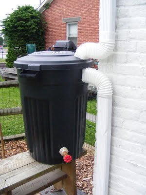 The Cheap DIY Rain Barrel