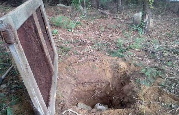 The Simple Root Cellar