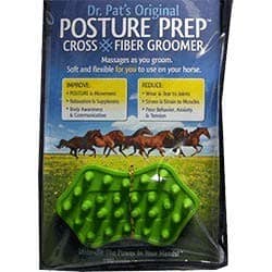 Posture Prep Curry Comb Groomer