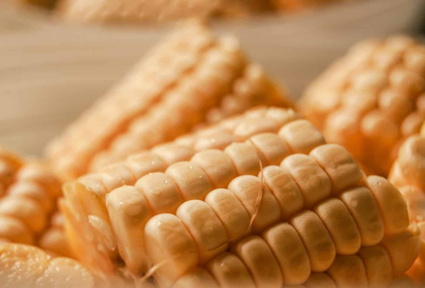 Corn