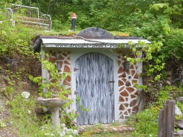 The Green Roof Root Cellar