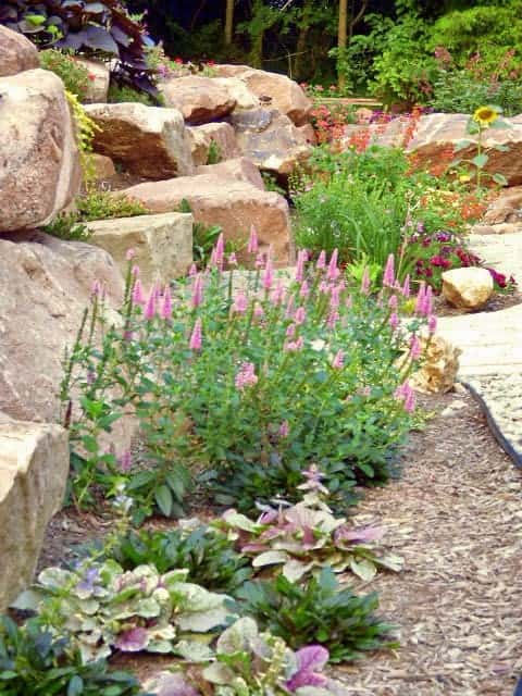 Large Rock Wall Garden