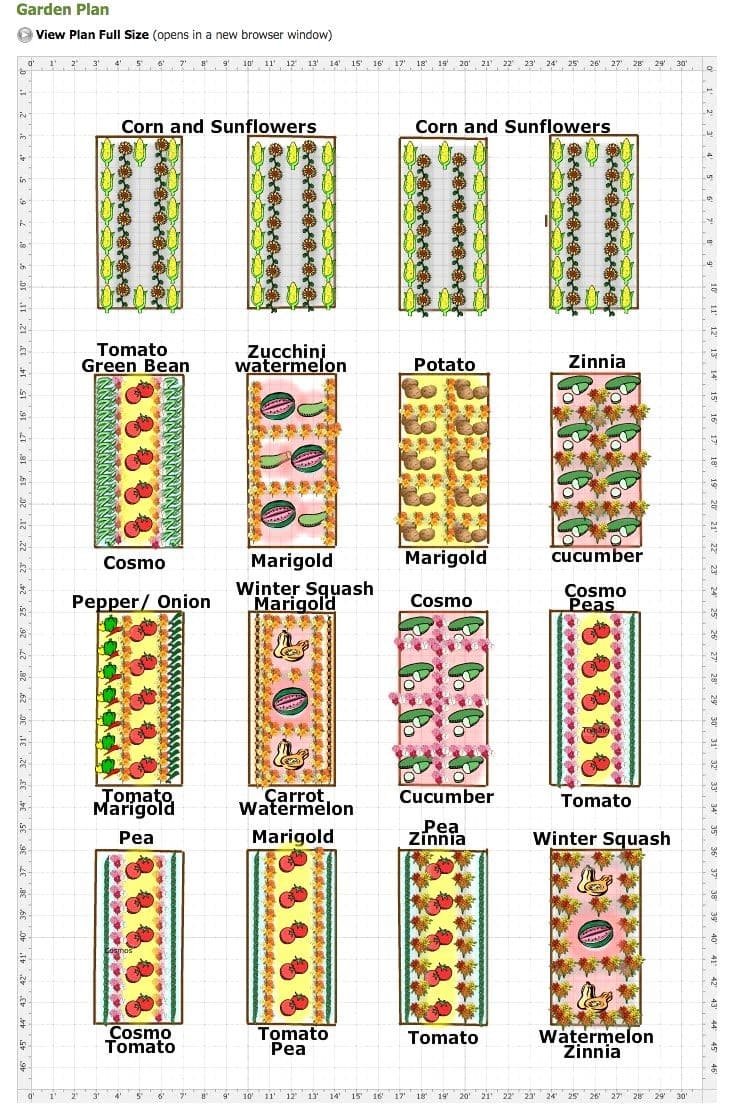 The Multi-Bed Garden Plan