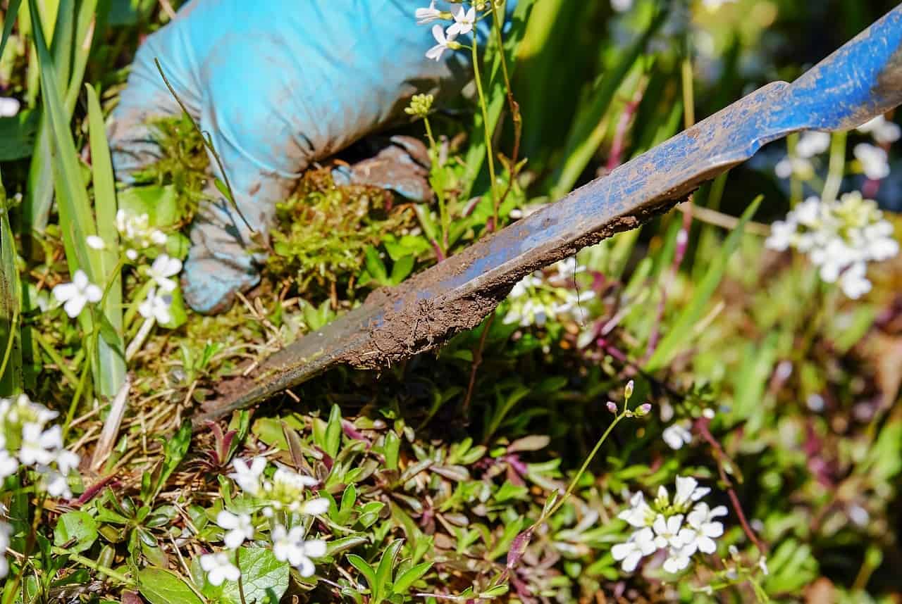 Weeding the Garden