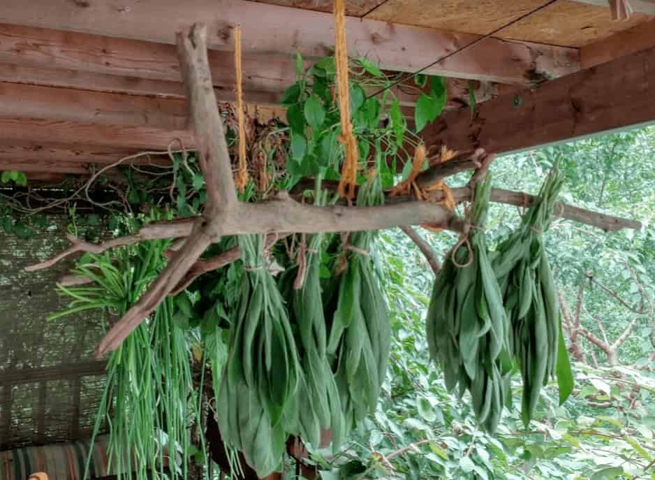 Method: Herb Bunch Hangers