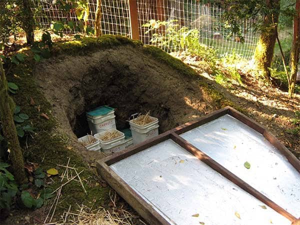 Hobbit Hole Cellar