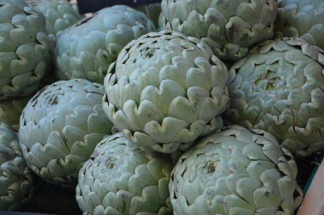 Caring for Artichoke