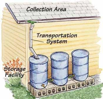 The Basic Rain Barrel