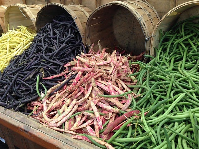 Bean Varieties