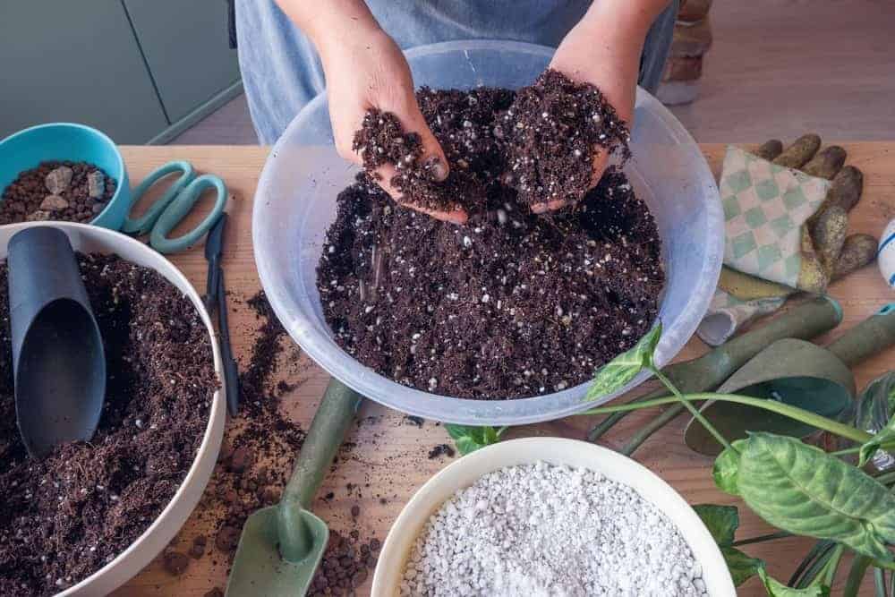 Fresh Potting Soil