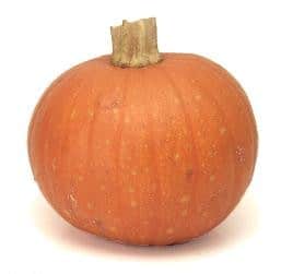 Pumpkin: