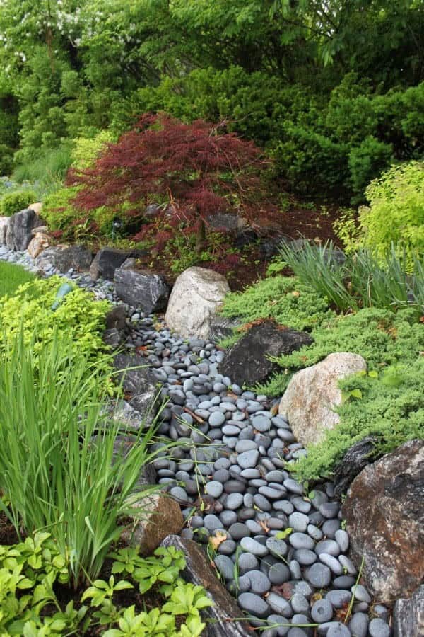 Dry Stream Rock Garden