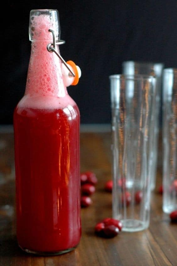 Fermented Cranberry Soda