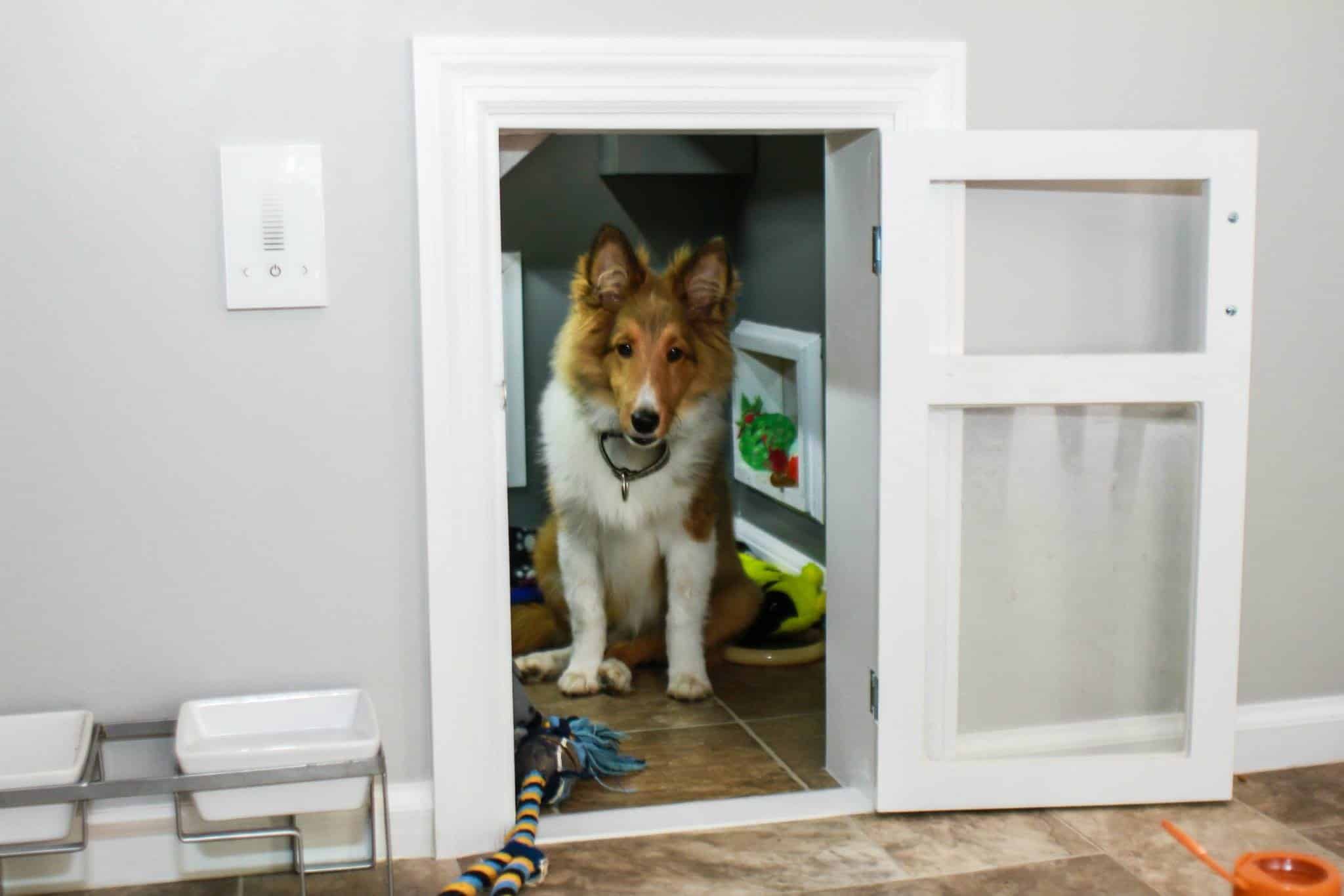 The Built-In Dog Kennel