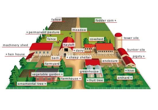 The Larger Farm Layout