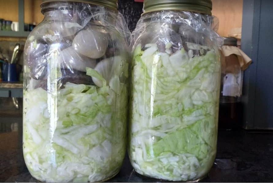 Fermented Veggies