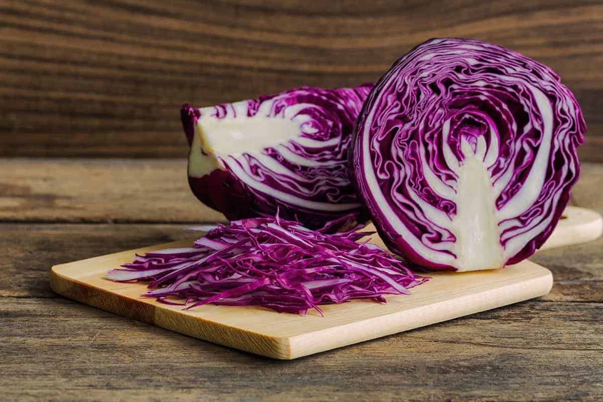 Red Cabbage (Brassica oleracea var. capitata f. rubra)