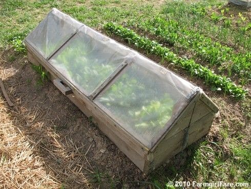 Amish Style Cold Frame