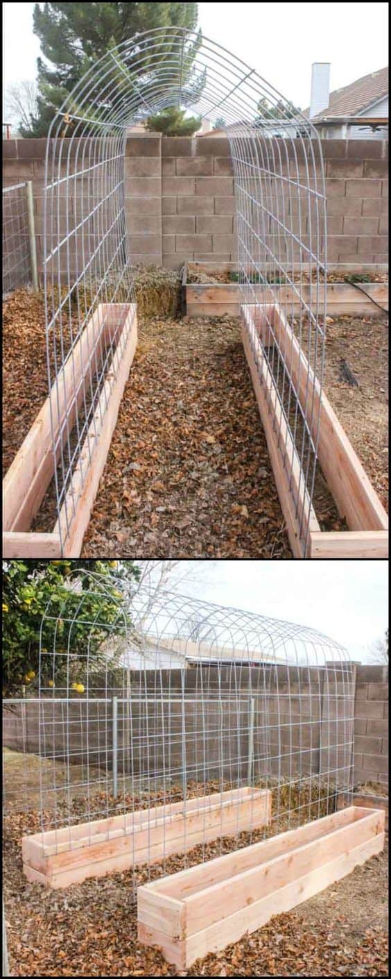 The Trellis and Raised Garden Combo