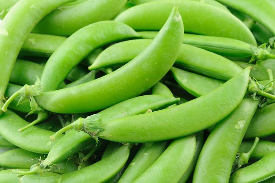 Sugar Peas