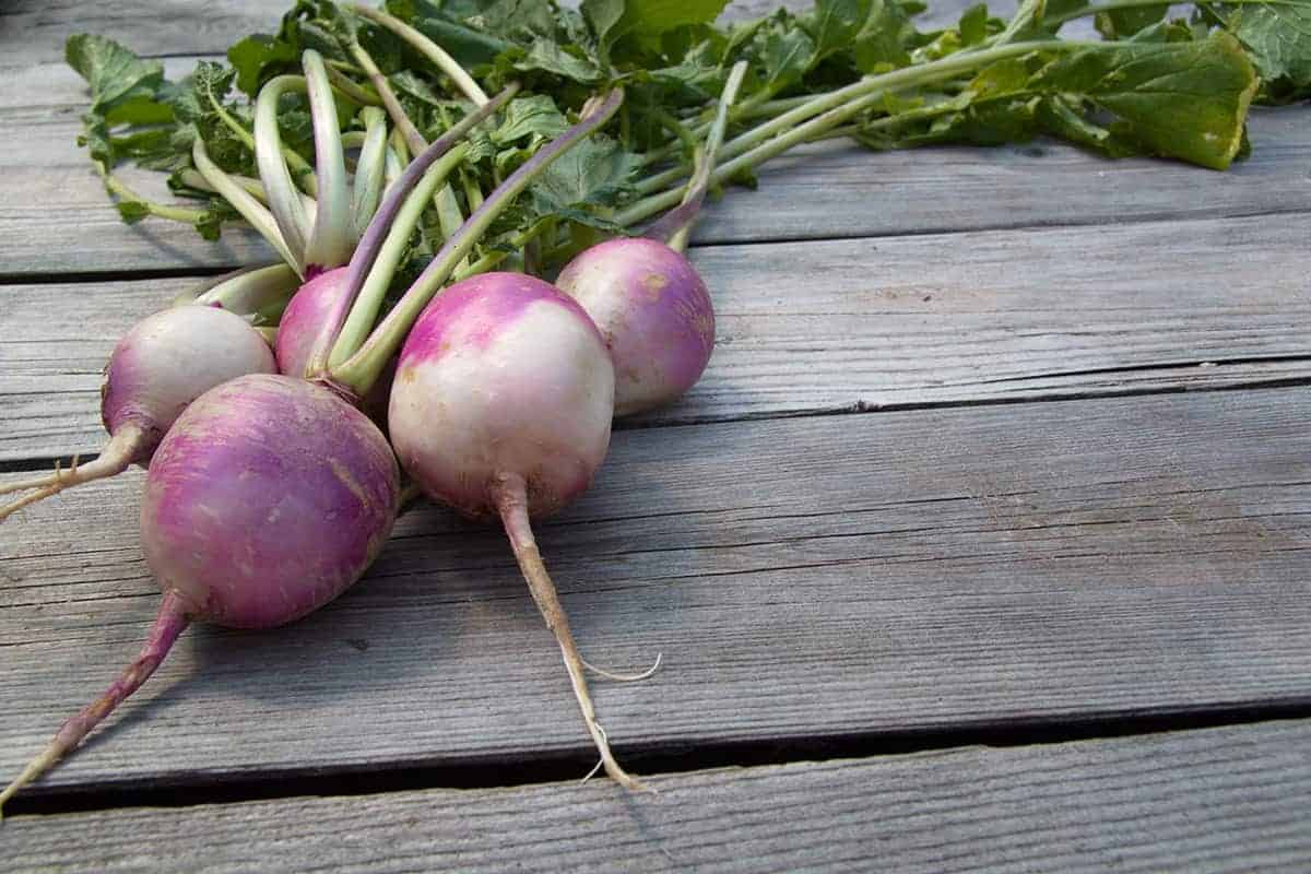 Turnips