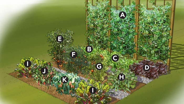 Summer Vegetable Garden Plans