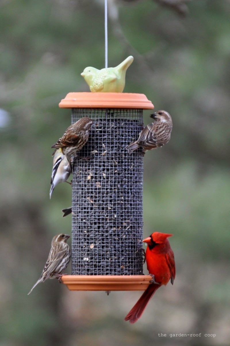 Tower Feeder