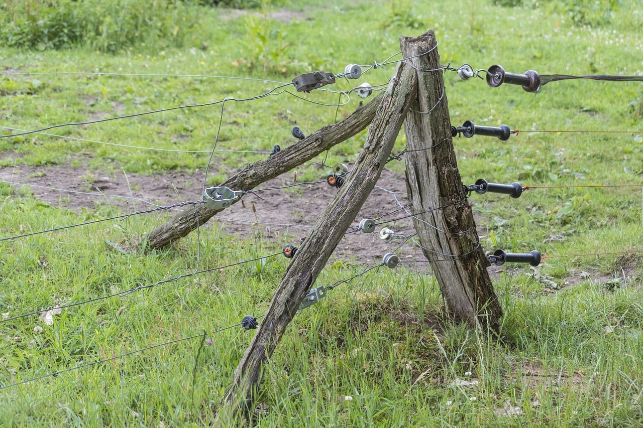 Electric Fence