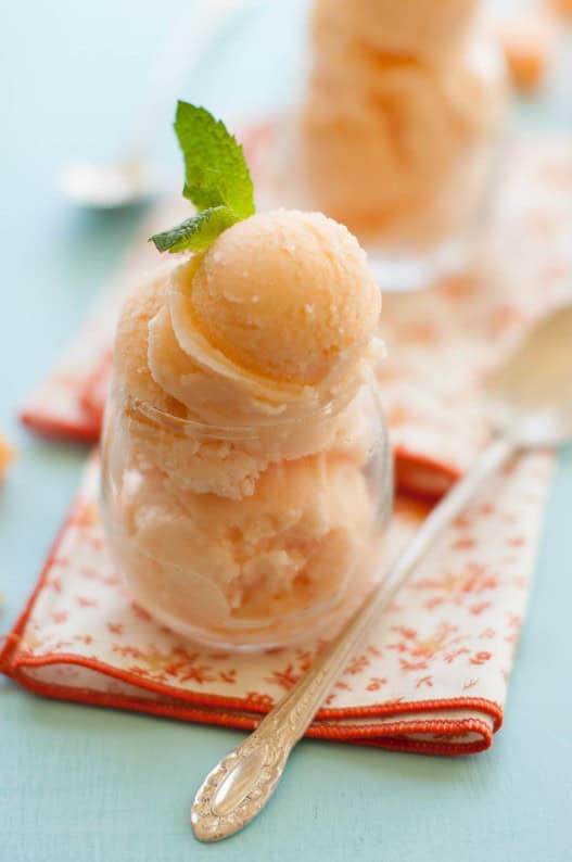 Cantaloupe Sorbet