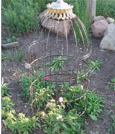 Decorative and Functional Cloches