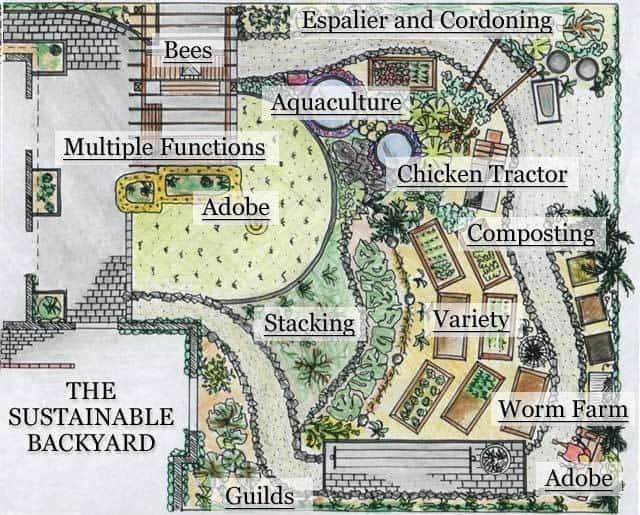 The Hamilton Permaculture Layout