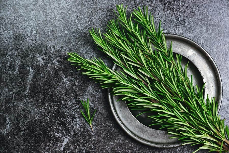 Rosemary (Rosmarinus officinalis)