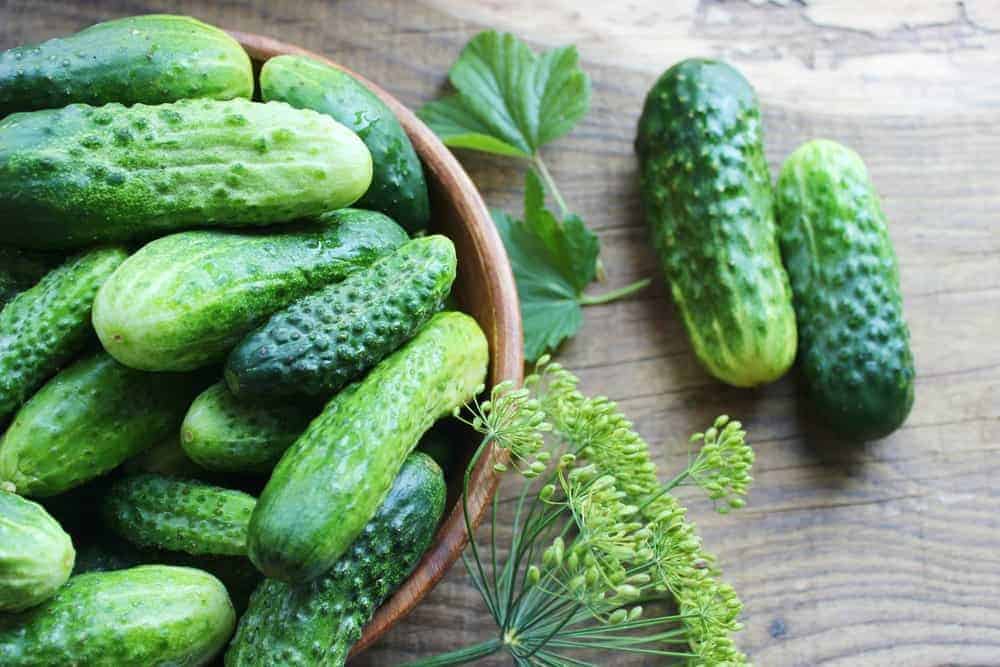 Cucumbers